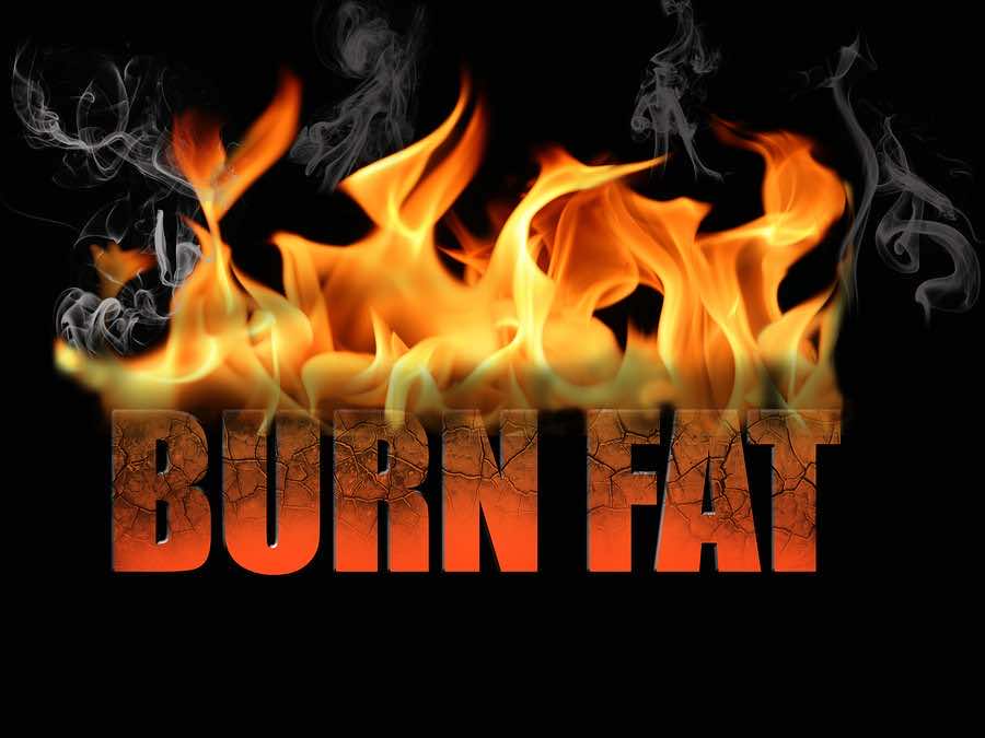 Overnight Fat Burner