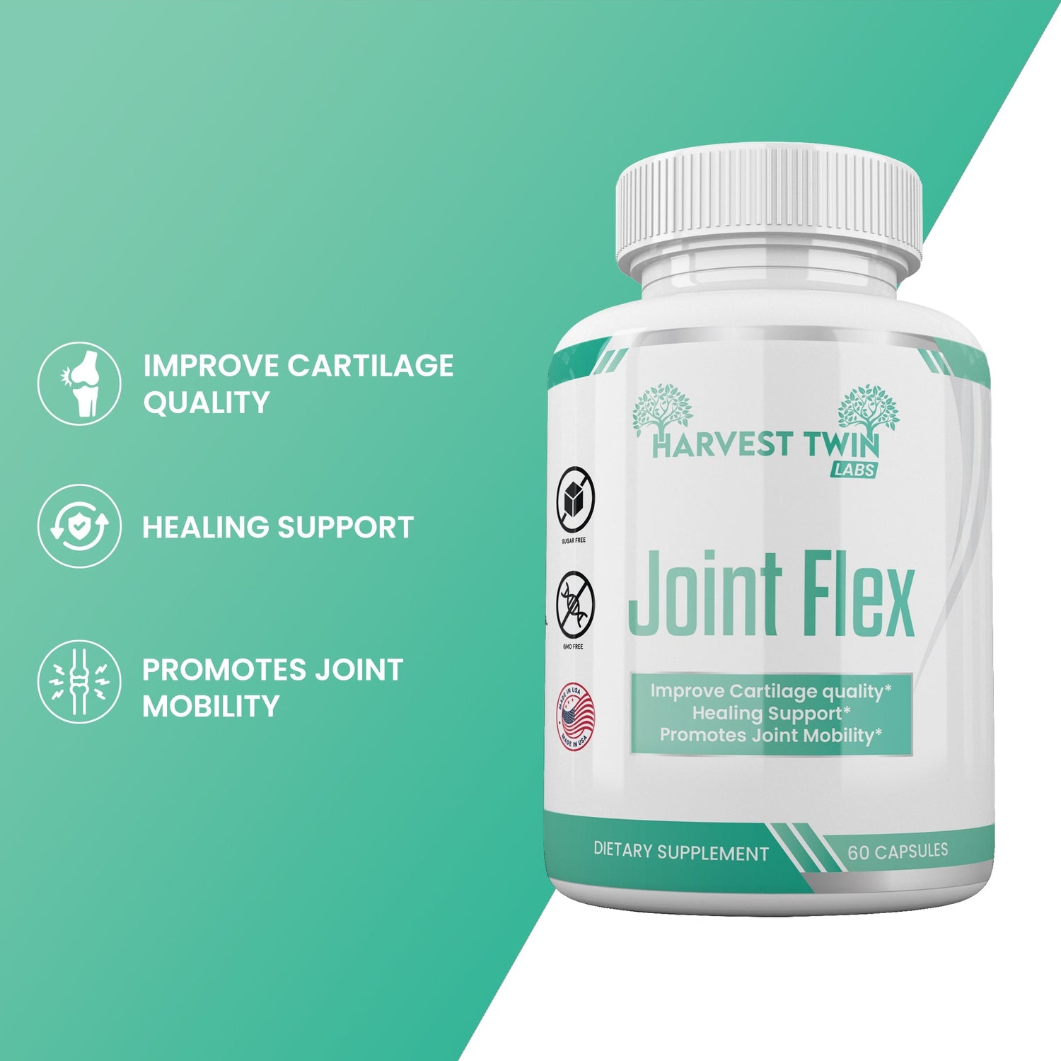 Glucosamine and Chondroitin
