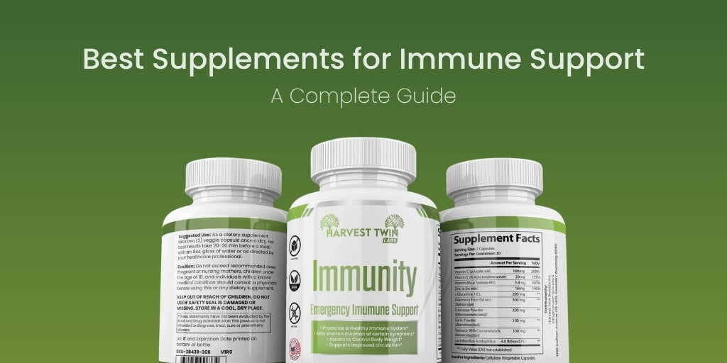 Best Supplements for Immune Support: A Complete Guide