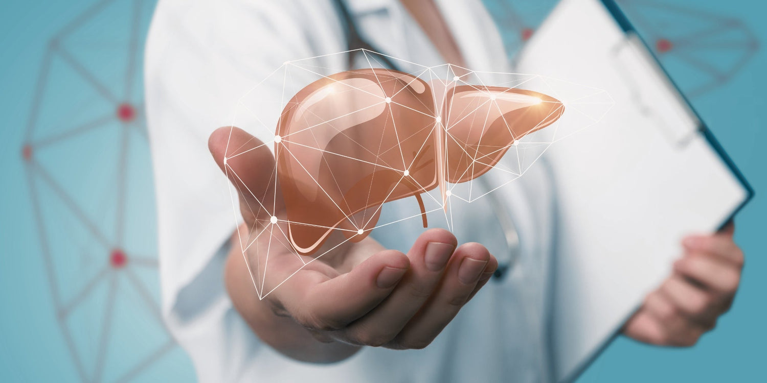 Daily Habits That Support Liver Health: Foods, Supplements & Lifestyle Tips