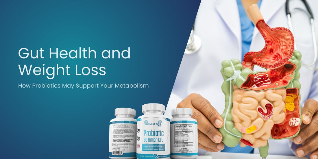 Gut Health and Weight Loss: How Probiotics May Support Your Metabolism