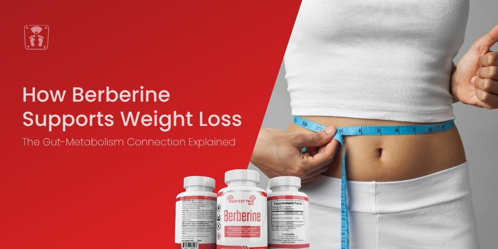 How Berberine Supports Weight Loss: The Gut-Metabolism Connection Explained