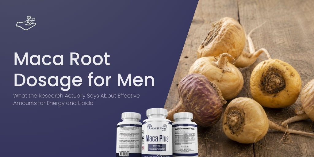 Maca Root Dosage for Men: What the Research Actually Says About Effective Amounts for Energy and Libido