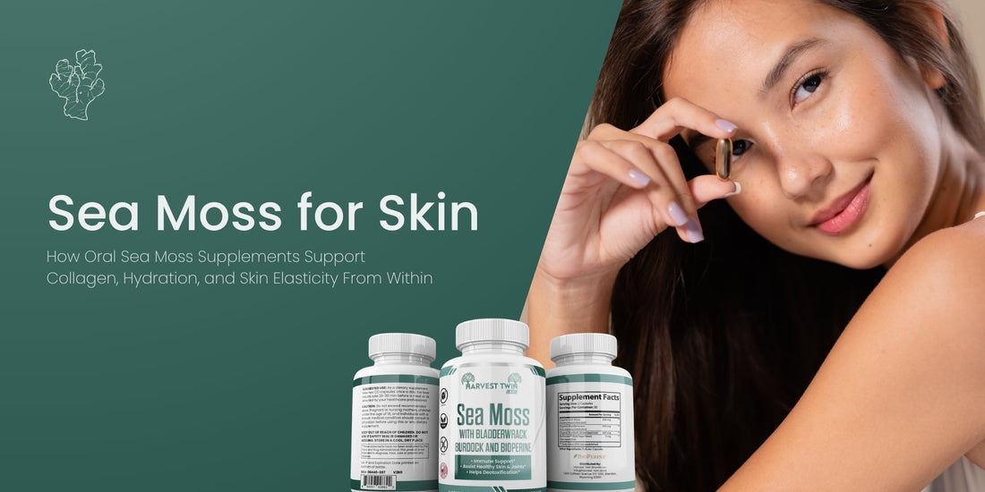  Sea Moss for Skin: How Oral Sea Moss Supplements Support Collagen, Hydration, and Skin Elasticity From Within