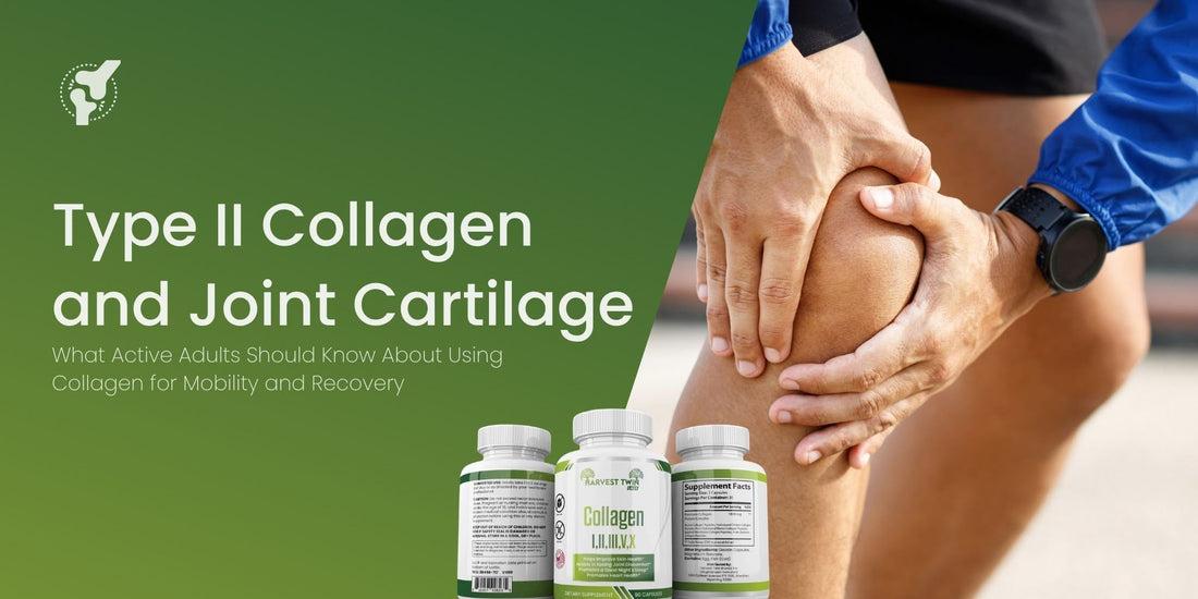 Type II Collagen and Joint Cartilage: What Active Adults Should Know About Using Collagen for Mobility and Recovery