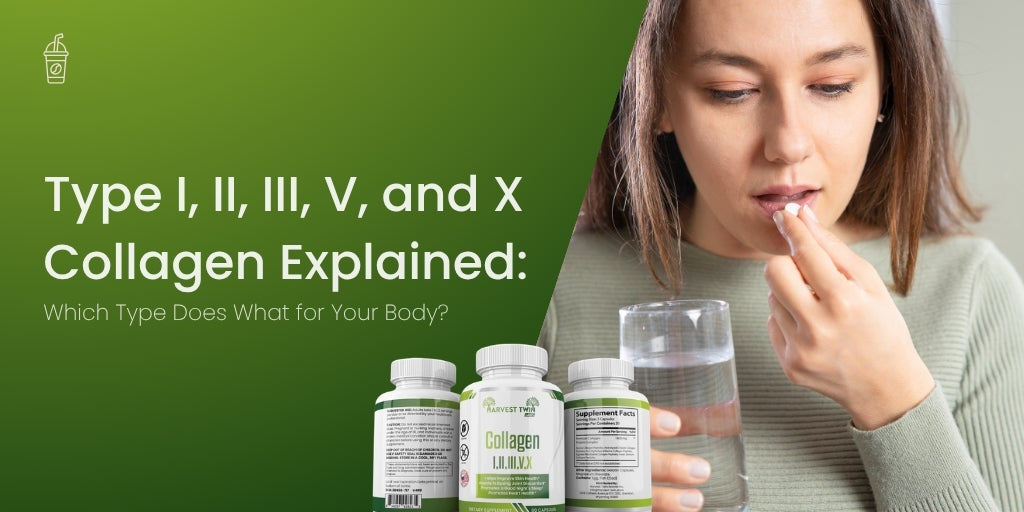 Type I, II, III, V, and X Collagen Explained: Which Type Does What for Your Body?