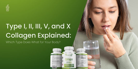 Type I, II, III, V, and X Collagen Explained: Which Type Does What for Your Body?