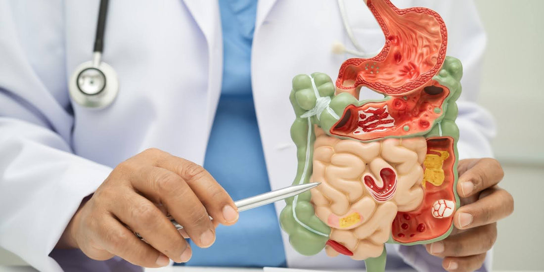 Why Digestive Health Matters: Signs of Poor Gut Health