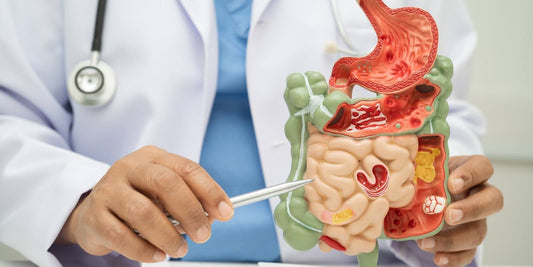 Why Digestive Health Matters: Signs of Poor Gut Health