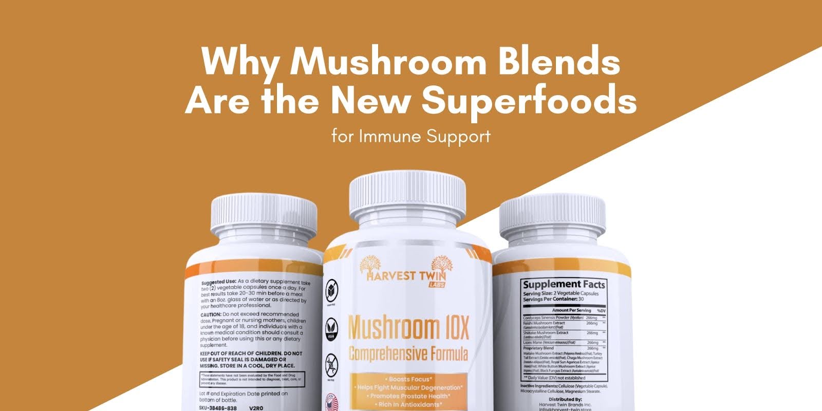 Why Mushroom Blends Are the New Superfoods for Immune Support