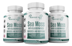 Sea Moss Harvest Twin Labs 3-Pack