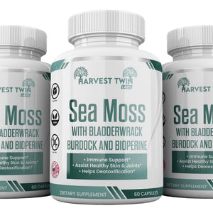 Sea Moss Harvest Twin Labs 3-Pack